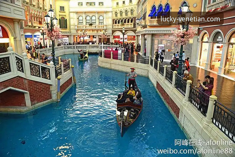 深度揭秘威尼斯人娱乐服务背后的用户体验真相